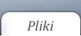 Pliki