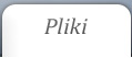 Pliki